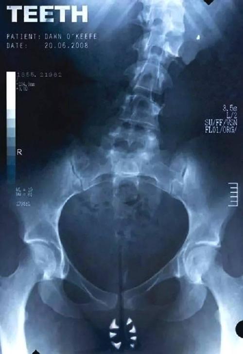 怎么买萨斯珂契温省驾驶证